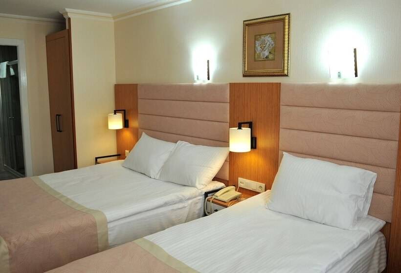 اتاق استاندارد, Lion City Hotel Ankara