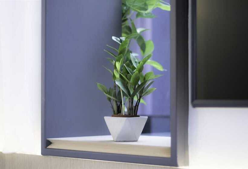 اتاق لوکس با تخت بزرگ, Nuve Elements