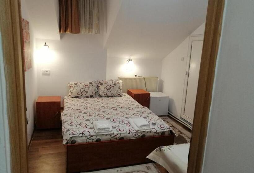 غرفة أساسية, Vila Elly