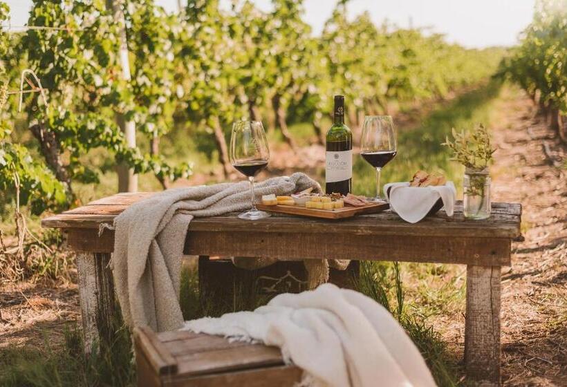 جناح مطلّ علي الحديقة, Casa De Aitona Bodega Zubizarreta