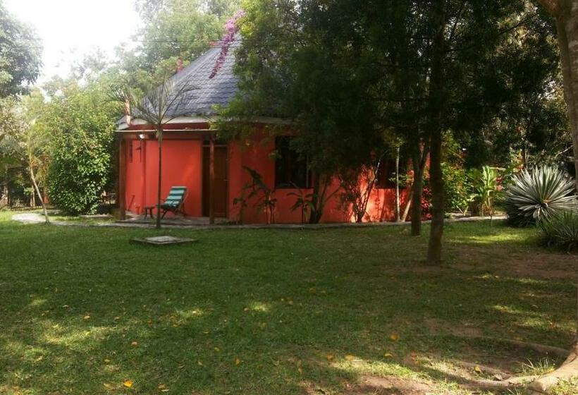 اتاق لوکس, White Castle Hotel Arua