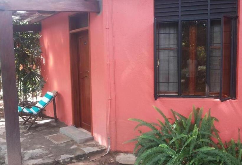 اتاق لوکس, White Castle Hotel Arua