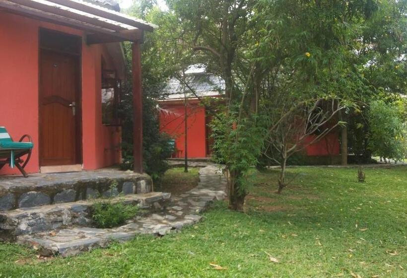 اتاق لوکس, White Castle Hotel Arua