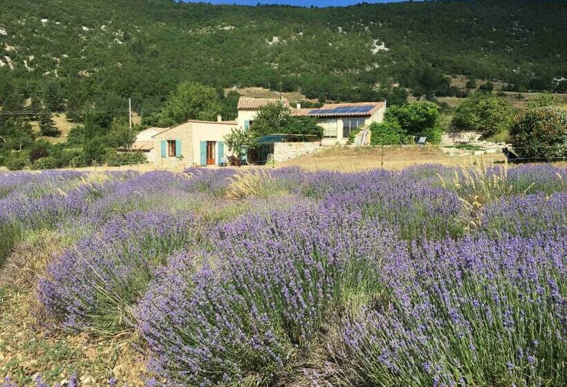 Номер Стандарт, Le Jas Du Mont Ventoux