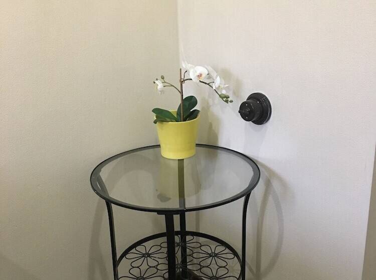 エコノミールーム, Pasternak Hostel