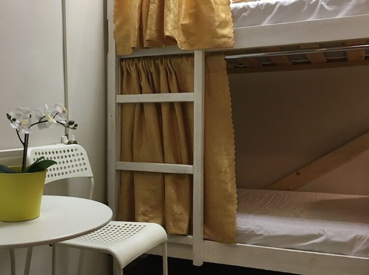 ルームシェアのワンベッド, Pasternak Hostel
