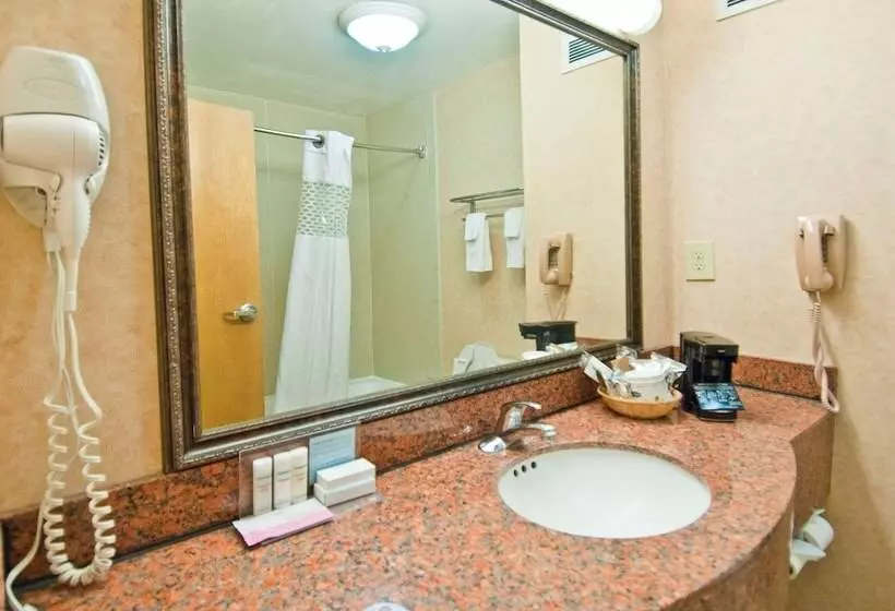 ２ダブルベッドのスタンダードルーム, Hampton Inn Lafayette I 10
