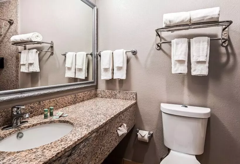 2ダブルベッドのスタンダードルーム, Best Western Auburn/opelika Inn