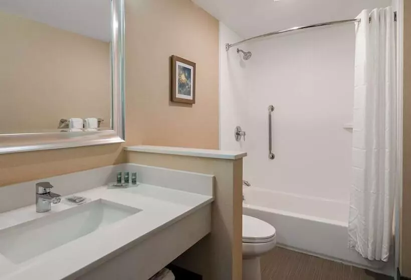 ２ダブルベッドのスタンダードルーム, Best Western Hampshire Inn & Suites