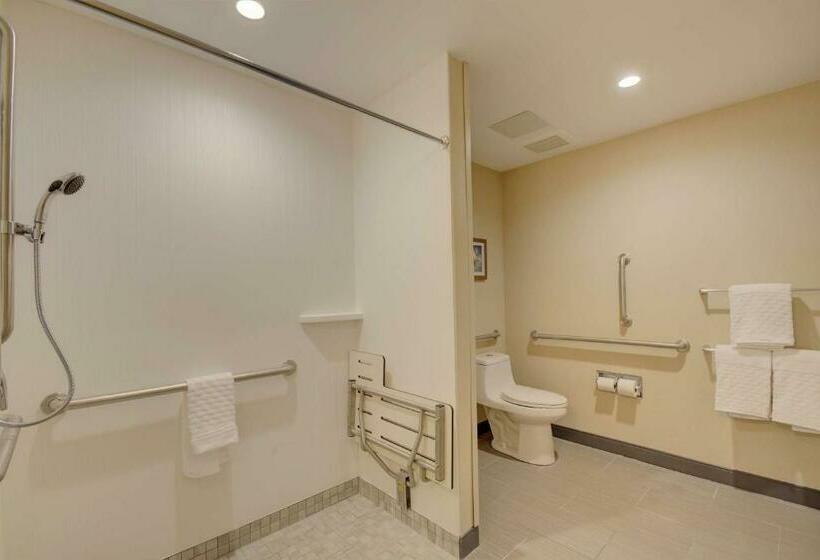 Номер Стандарт Кровать Кинг Адаптированный для Инвалидов, Best Western Hampshire Inn & Suites
