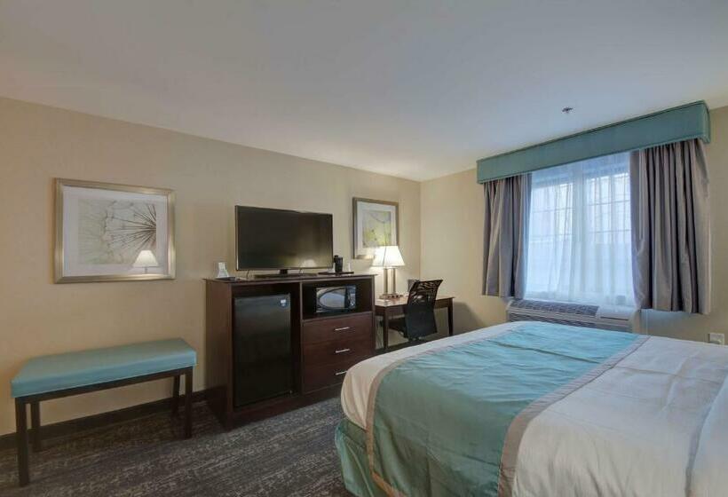 غرفة قياسية سرير كينج لذوى الإحتياجات الخاصة, Best Western Hampshire Inn & Suites