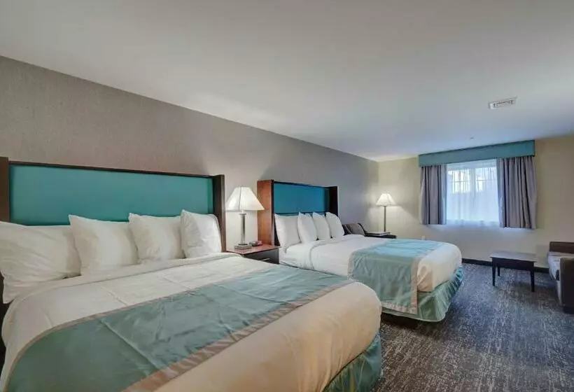 ２ダブルベッドのスタンダードルーム, Best Western Hampshire Inn & Suites