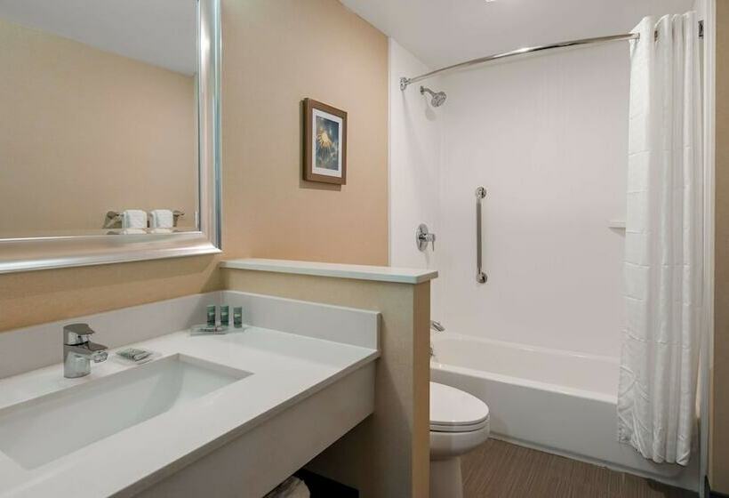 غرفة قياسية, Best Western Hampshire Inn & Suites