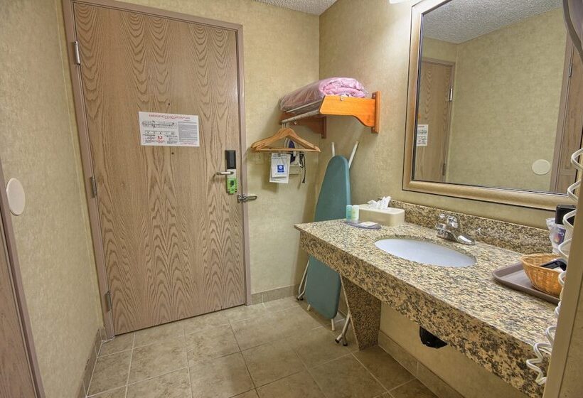 חדר סטנדרט, מיטה זוגית, מותאם לאדם עם מוגבלויות, Comfort Inn Near Greenfield Village