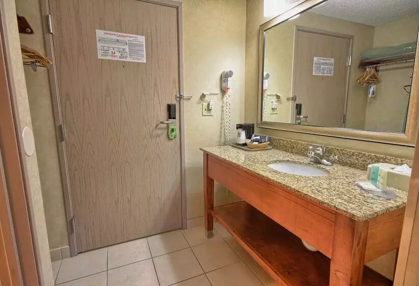 身障者適用ダブルベッド付きスタンダードルーム, Comfort Inn Near Greenfield Village