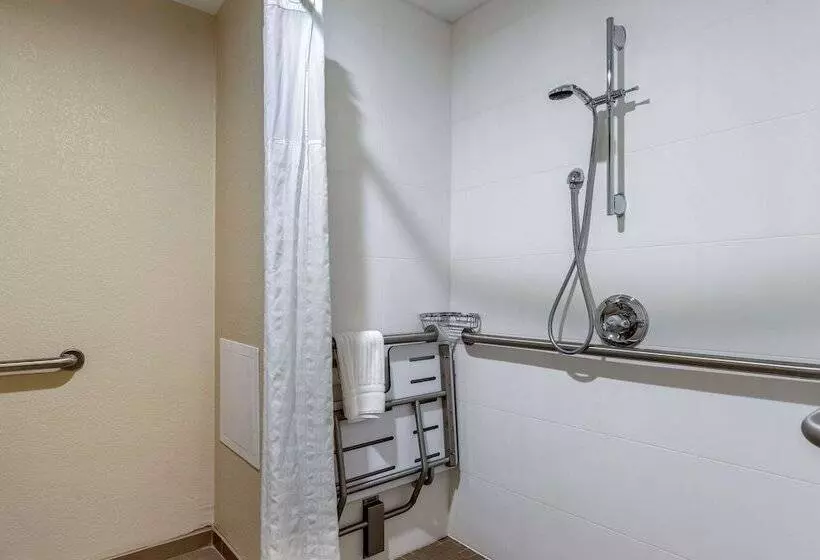 身障者適用ダブルベッド付きスタンダードルーム, Comfort Inn Near Greenfield Village