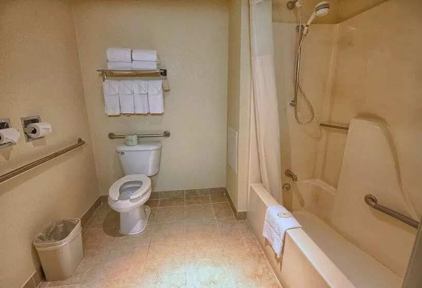 身障者適用ダブルベッド付きスタンダードルーム, Comfort Inn Near Greenfield Village