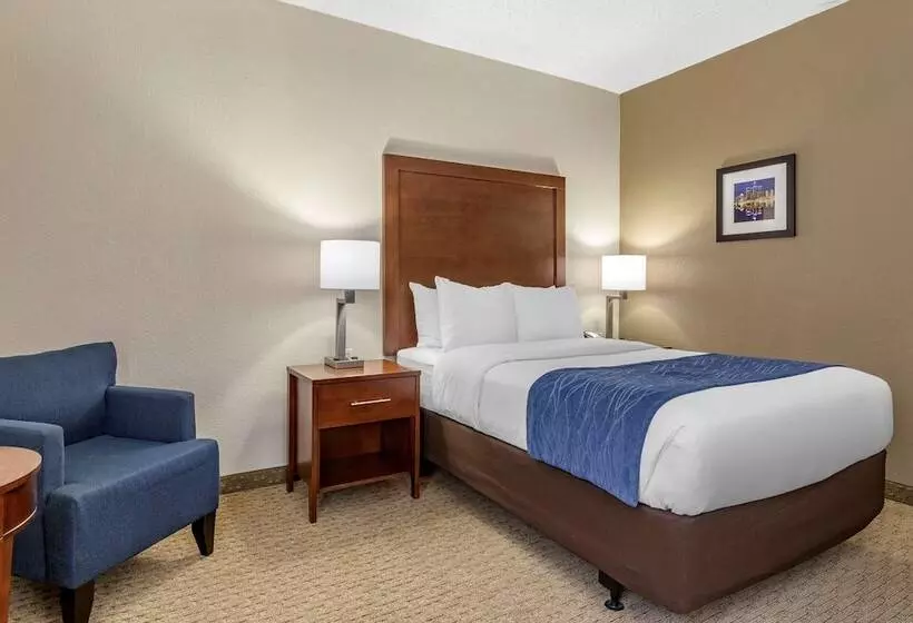 身障者適用ダブルベッド付きスタンダードルーム, Comfort Inn Near Greenfield Village