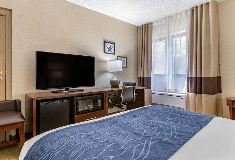 Номер Стандарт Двуспальная Кровать Адаптированный для Инвалидов, Comfort Inn Near Greenfield Village