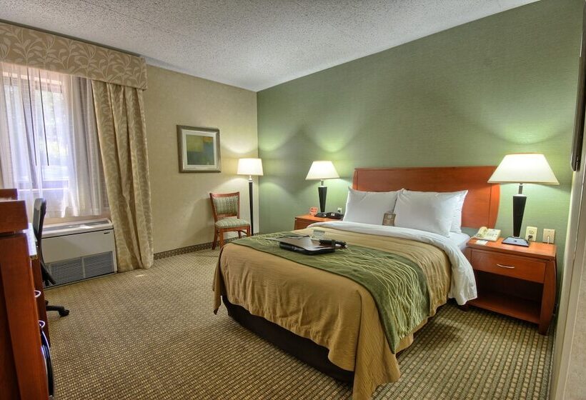 غرفة قياسية سرير مزدوج لذوى الإحتياجات الخاصة, Comfort Inn Near Greenfield Village