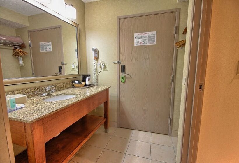 חדר סטנדרט שתי מיטות זוגיות, Comfort Inn Near Greenfield Village