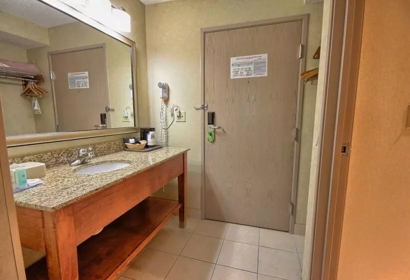 ２ダブルベッドのスタンダードルーム, Comfort Inn Near Greenfield Village