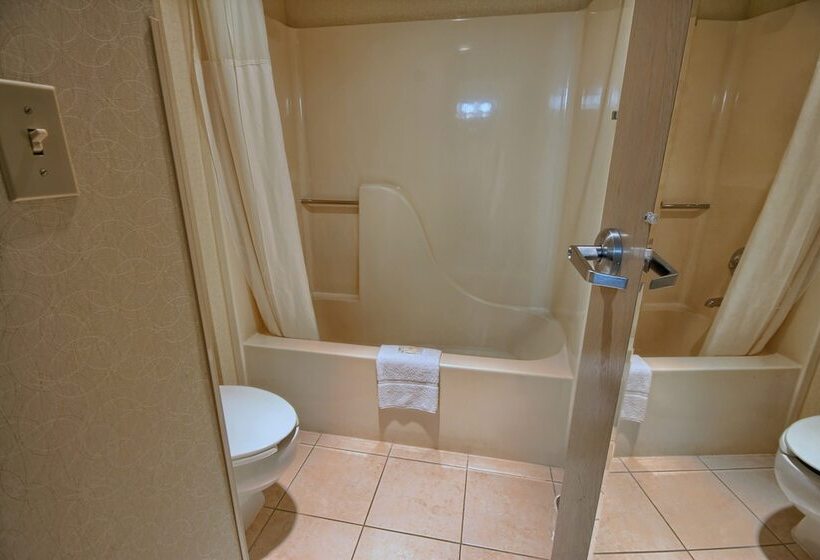 غرفه قياسيه سريرين مزدوجين, Comfort Inn Near Greenfield Village