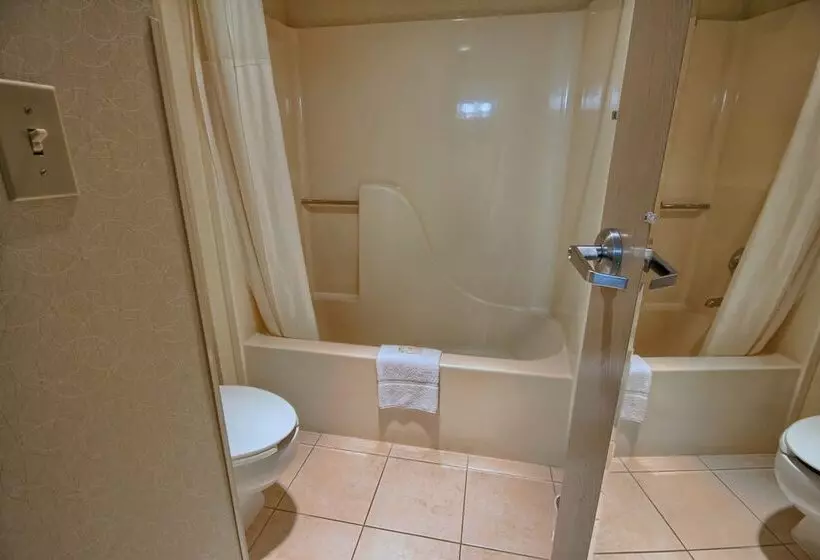 ２ダブルベッドのスタンダードルーム, Comfort Inn Near Greenfield Village