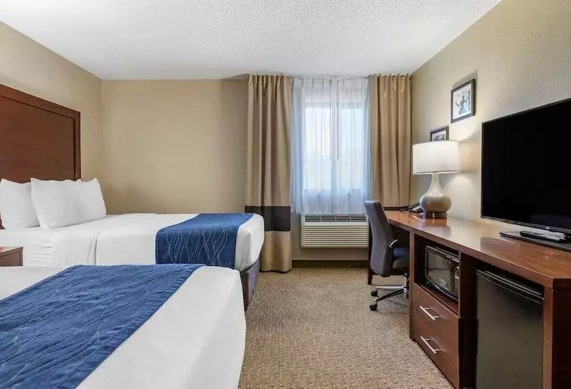 ２ダブルベッドのスタンダードルーム, Comfort Inn Near Greenfield Village