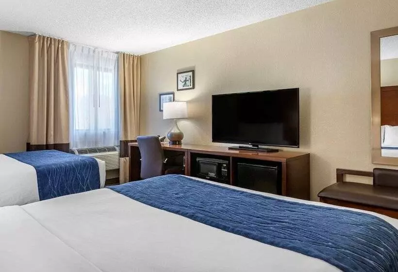 ２ダブルベッドのスタンダードルーム, Comfort Inn Near Greenfield Village
