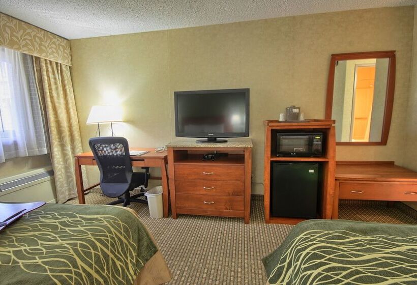 Номер Стандарт 2 Двуспальные Кровати, Comfort Inn Near Greenfield Village