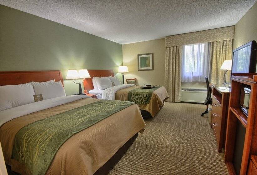 חדר סטנדרט שתי מיטות זוגיות, Comfort Inn Near Greenfield Village