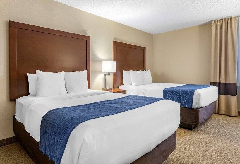 Номер Стандарт 2 Двуспальные Кровати, Comfort Inn Near Greenfield Village