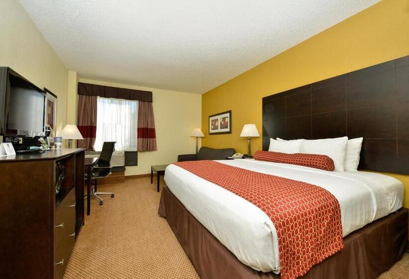 스탠다드 룸 킹사이즈 침대, Spark By Hilton Denver Tech Center Greenwood Village