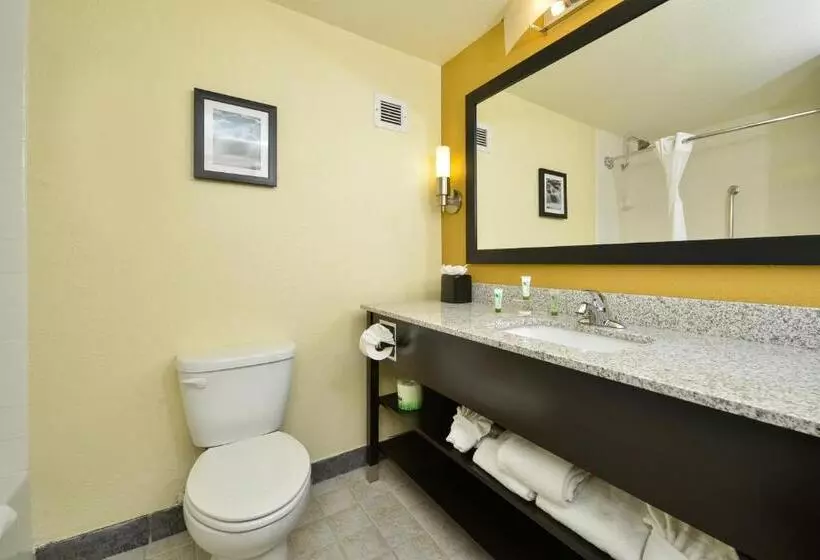 身障者適用キングサイズベッドルーム, Spark By Hilton Denver Tech Center Greenwood Village