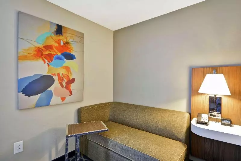 キングサイズベッドのスタンダードルーム, Hampton Inn Auburn