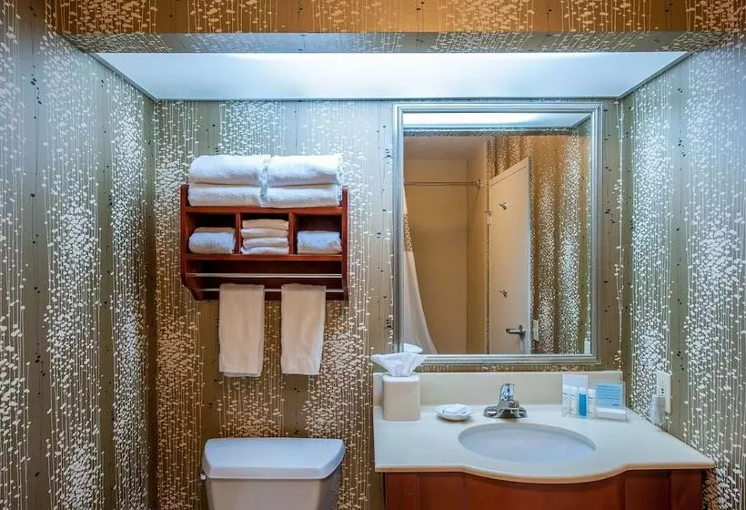 ２ダブルベッドのスタンダードルーム, Hampton Inn By Hilton Bowling Green