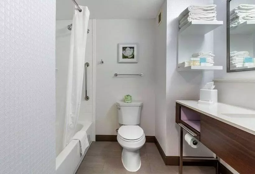 ２ダブルベッドのスタンダードルーム, Hampton Inn Brookhaven
