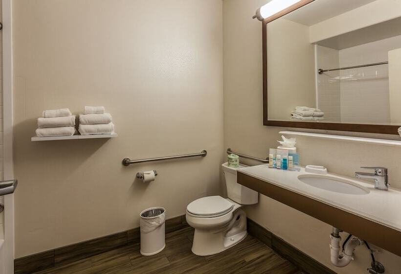 适合残疾人使用的标准间, Hampton Inn Colorado Springs Airport