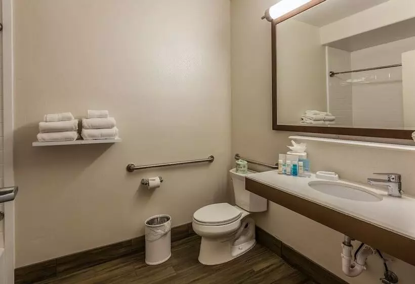 身障者適用スタンダードルーム, Hampton Inn Colorado Springs Airport