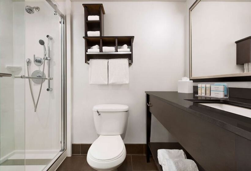 إستوديو قياسى سرير مزدوج, Hampton Inn Denverwest/golden