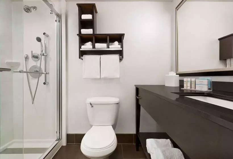 ダブルベッドのスタンダードスタジオ, Hampton Inn Denverwest/golden