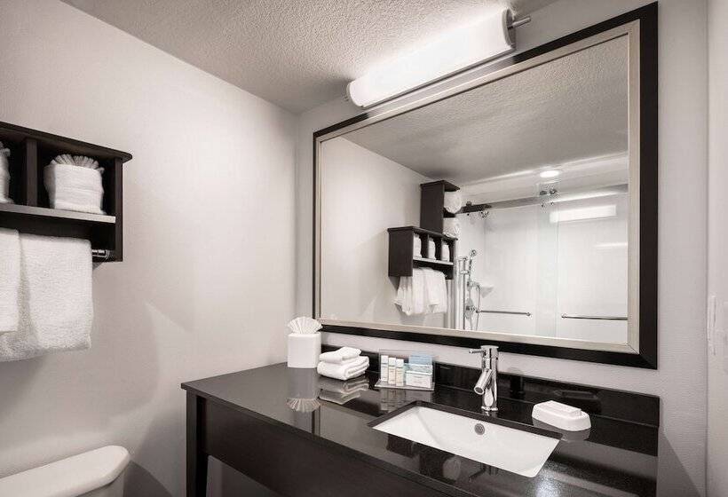 스탠다드 스튜디오 더블 침대, Hampton Inn Denverwest/golden