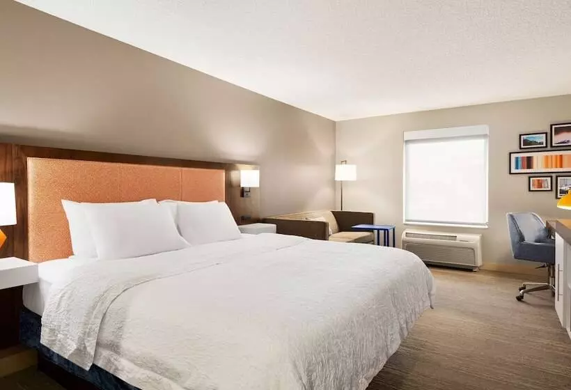 ダブルベッドのスタンダードスタジオ, Hampton Inn Denverwest/golden