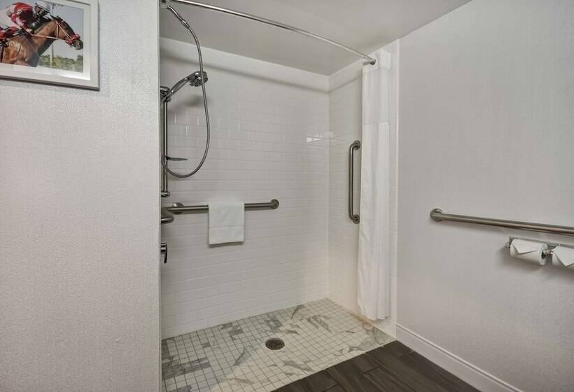 身障者適用スタンダードルーム, Hampton Inn I75 Lexington/hamburg Area