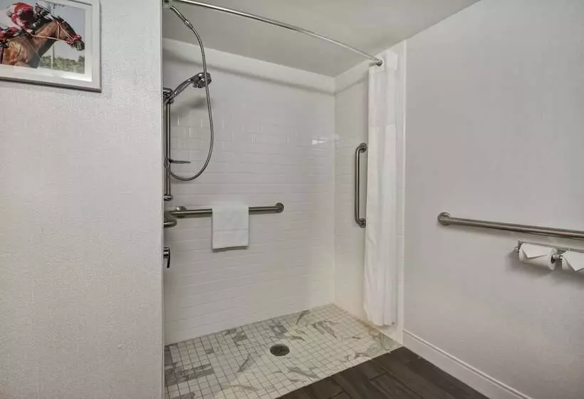 身障者適用スタンダードルーム, Hampton Inn I75 Lexington/hamburg Area