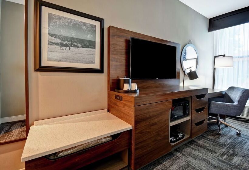 身障者適用スタンダードルーム, Hampton Inn I75 Lexington/hamburg Area
