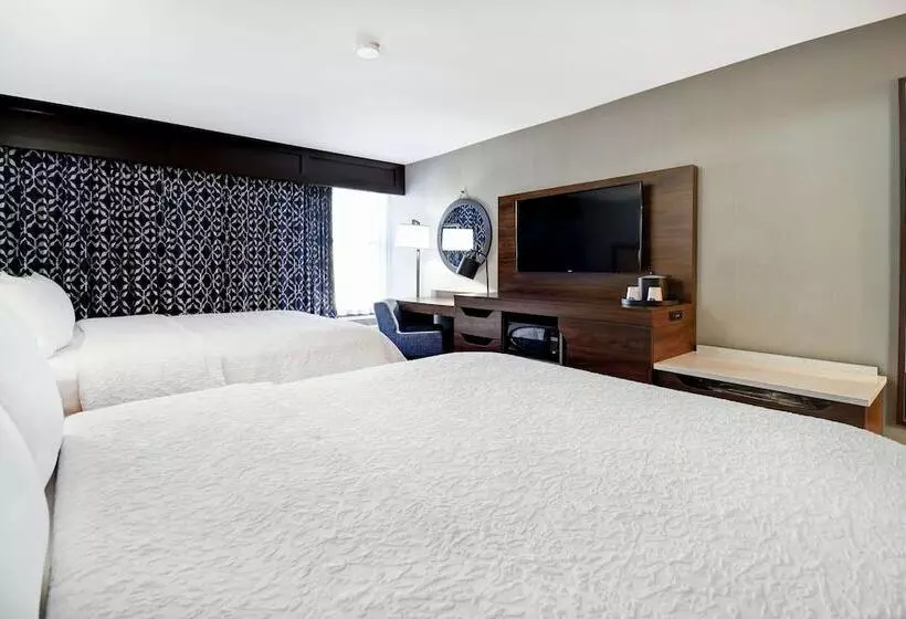 ２ダブルベッドのスタンダードルーム, Hampton Inn I75 Lexington/hamburg Area