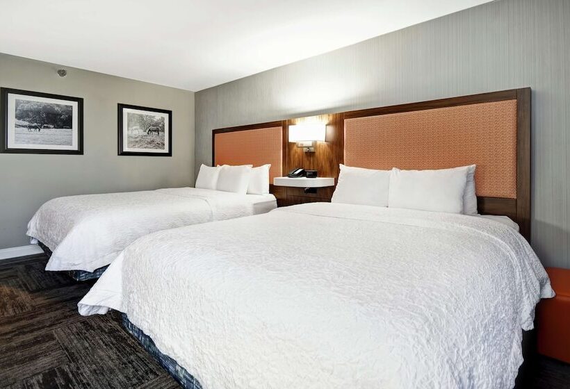 带2个双人床的标准工作室, Hampton Inn I75 Lexington/hamburg Area