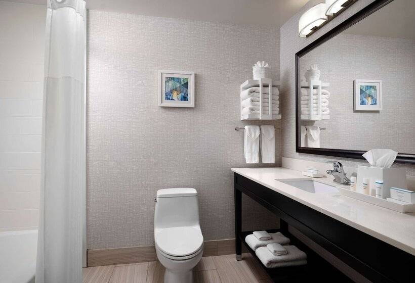 스탠다드 룸 더블 침대 2개, Hampton Inn Jackson/clinton